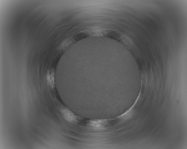 X0000062620190200512281539