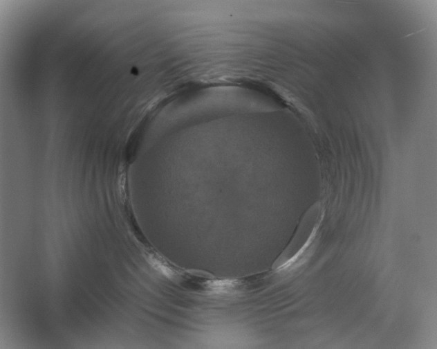 X0000062620192200512281539