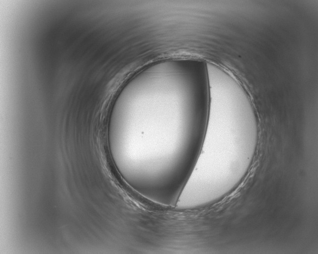 X0000062620193200512281538