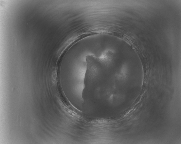 X0000062620194200512281538