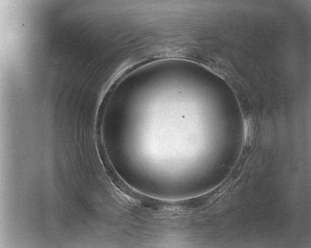 X0000062620195200512281538