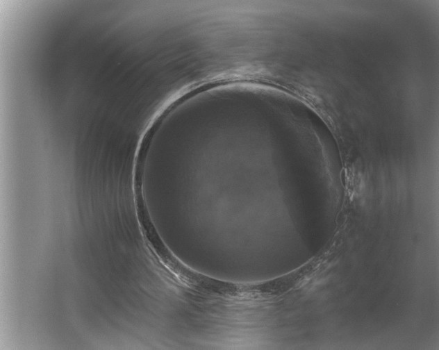 X0000062620196200512281538