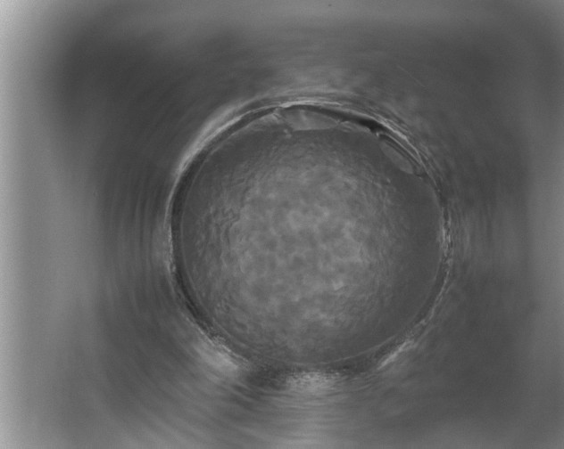 X0000062620198200512281538