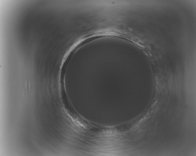 X0000062620200200512281538