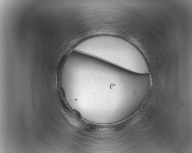 X0000062620205200512281538