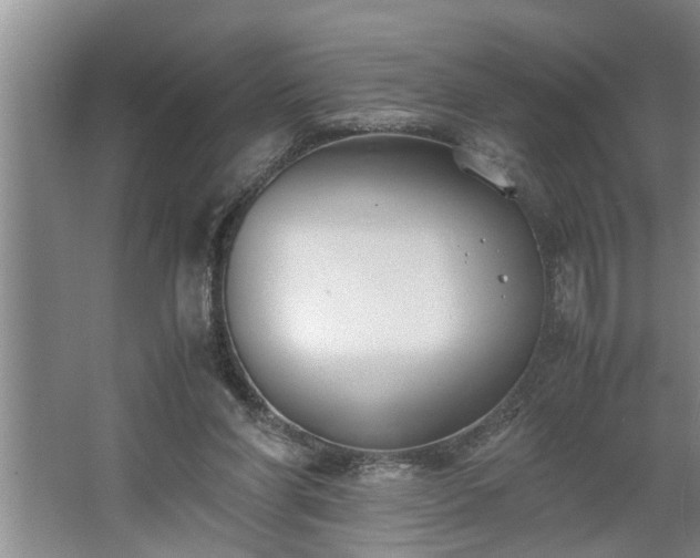 X0000062620206200512281538