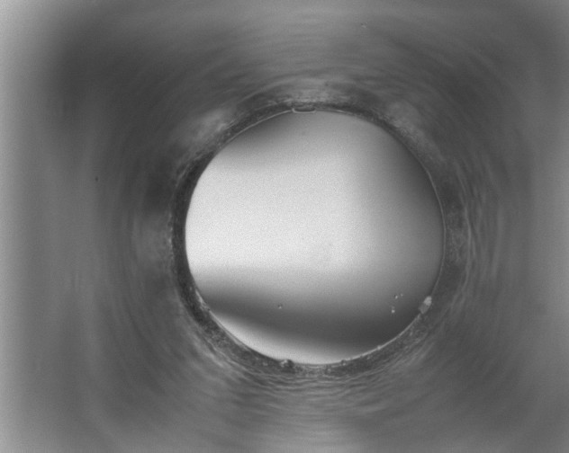 X0000062620207200512281538