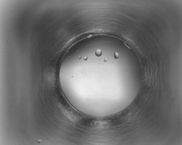 X0000062620208200512281538