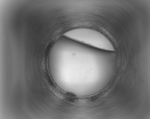 X0000062620209200512281538