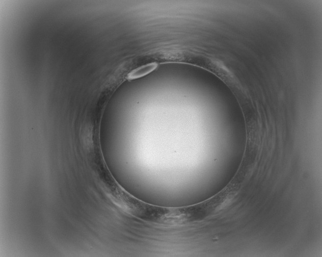 X0000062620213200512281538