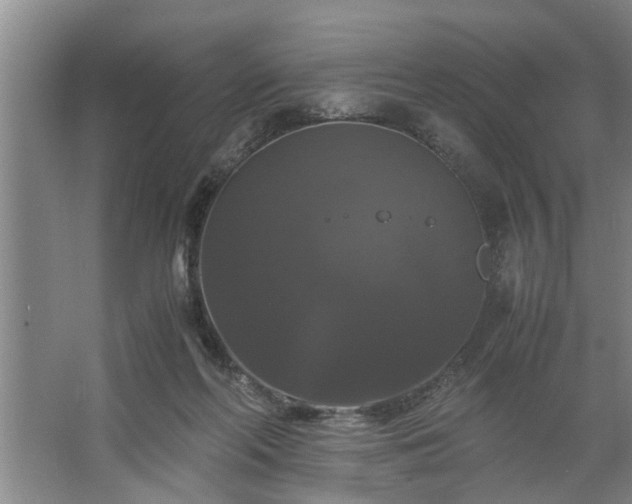 X0000062620214200512281538