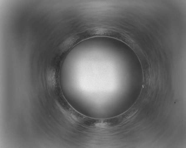 X0000062620216200512281538