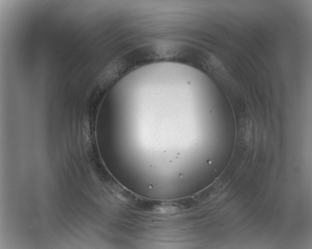 X0000062620220200512281538