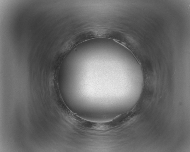 X0000062620221200512281538