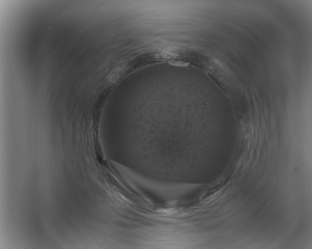 X0000062620223200512281538