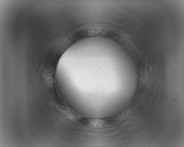 X0000062620226200512281538