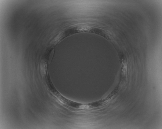 X0000062620227200512281538