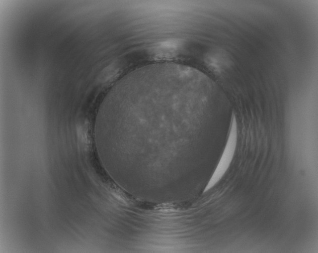 X0000062620228200512281538