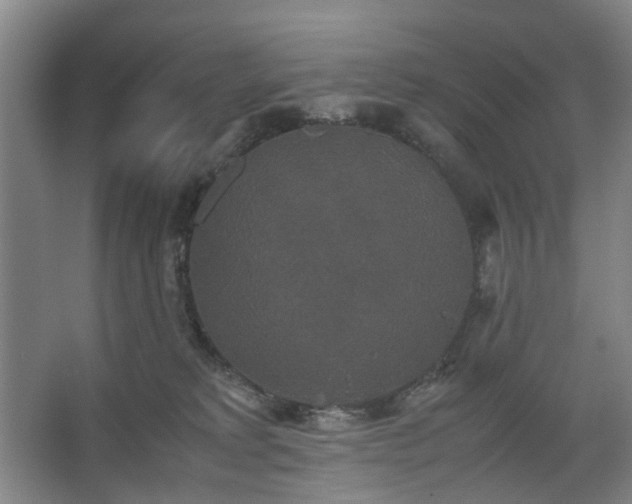 X0000062620229200512281537