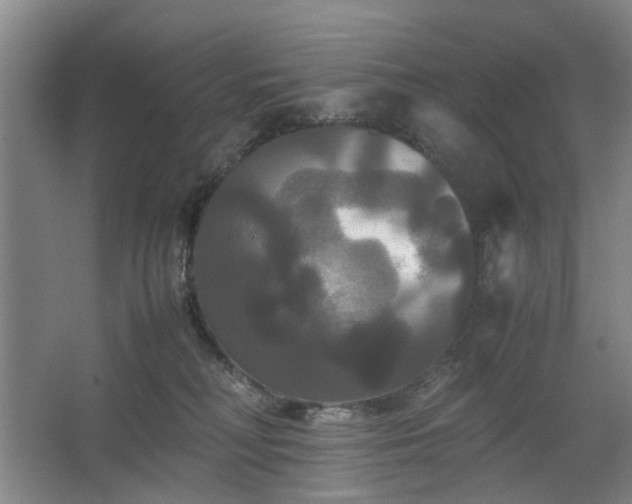 X0000062620230200512281537