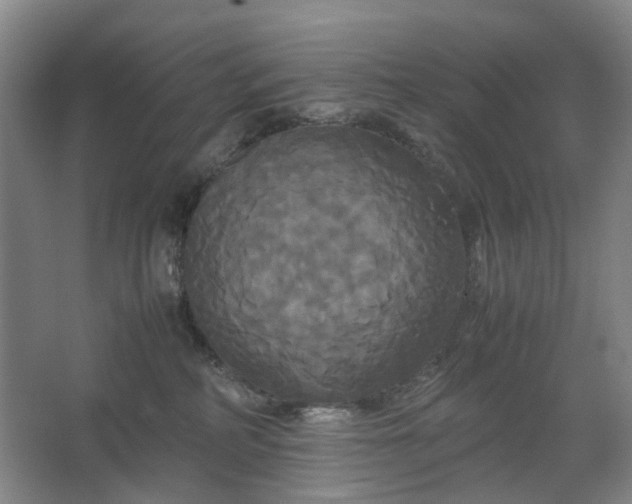 X0000062620234200512281537