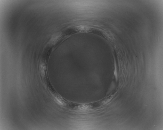 X0000062620235200512281537