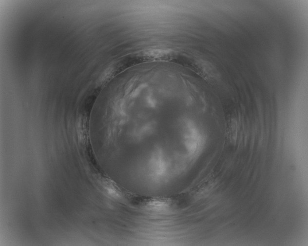 X0000062620236200512281537