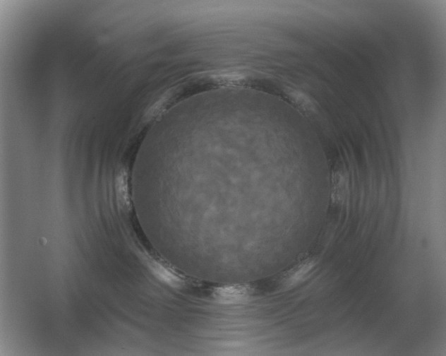 X0000062620238200512281537