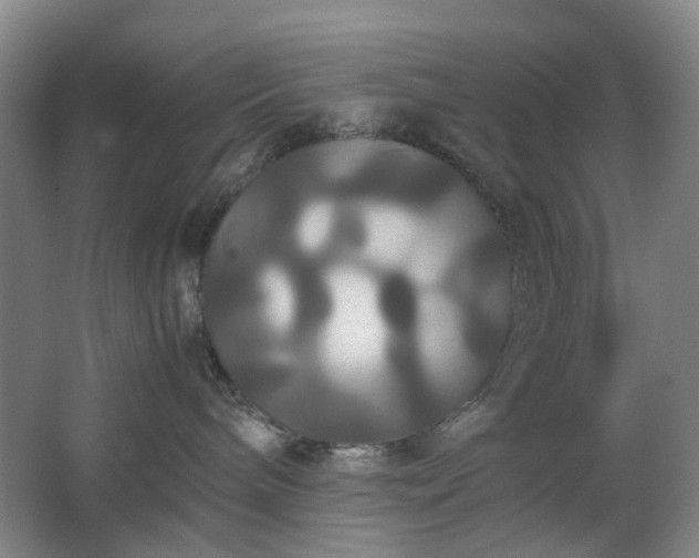 X0000062620240200512281537