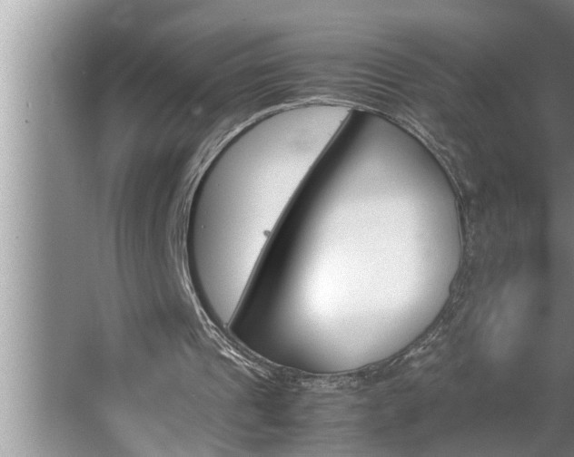 X0000062620241200512281536