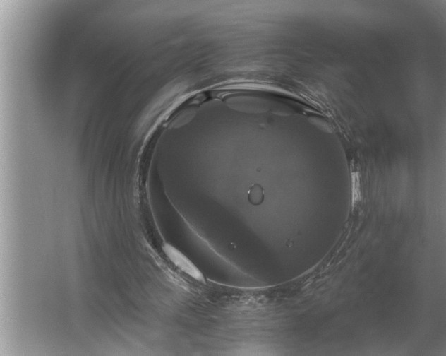 X0000062620243200512281537