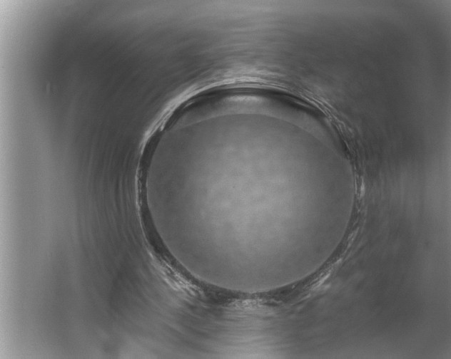 X0000062620244200512281537