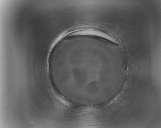 X0000062620246200512281537