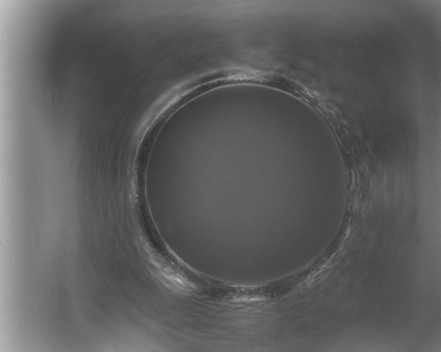 X0000062620247200512281537