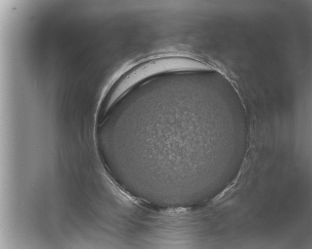 X0000062620248200512281537