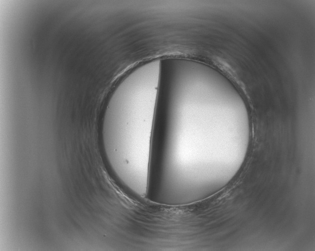 X0000062620249200512281537