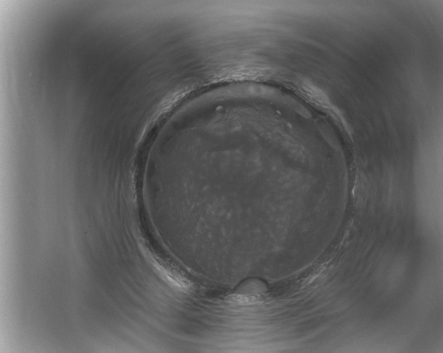 X0000062620250200512281537