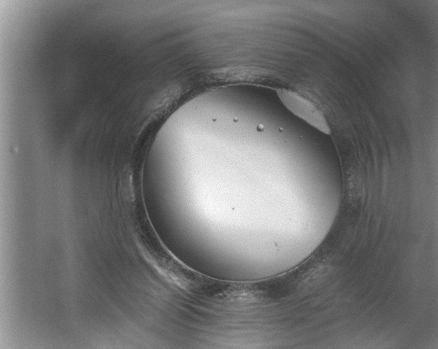 X0000062620254200512281537