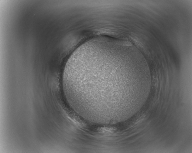 X0000062620255200512281537