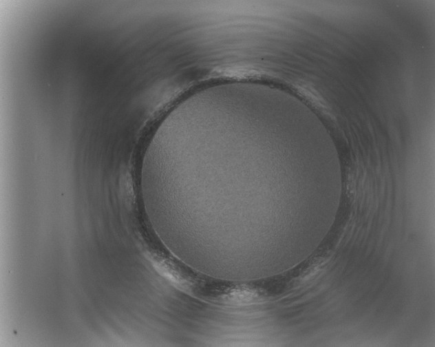 X0000062620256200512281537