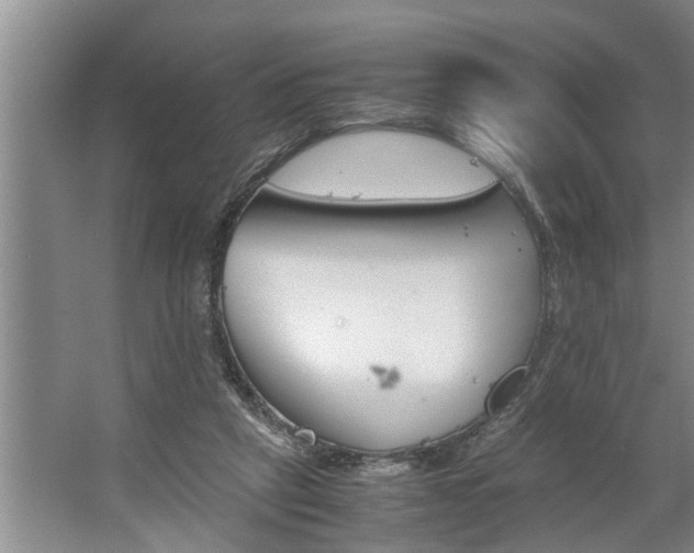 X0000062620257200512281537