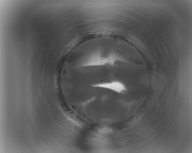 X0000062620258200512281537