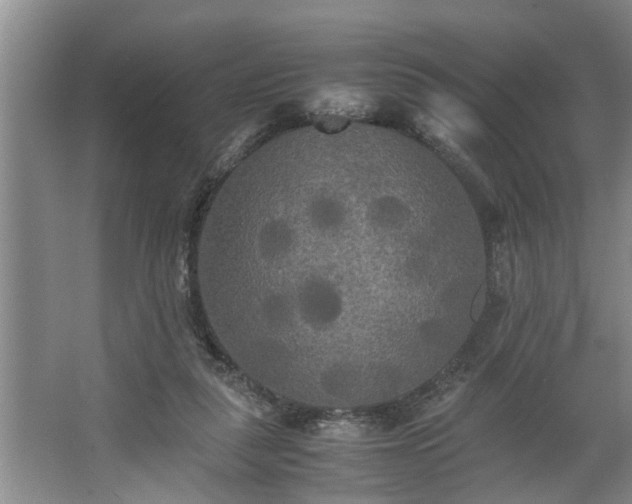 X0000062620259200512281537