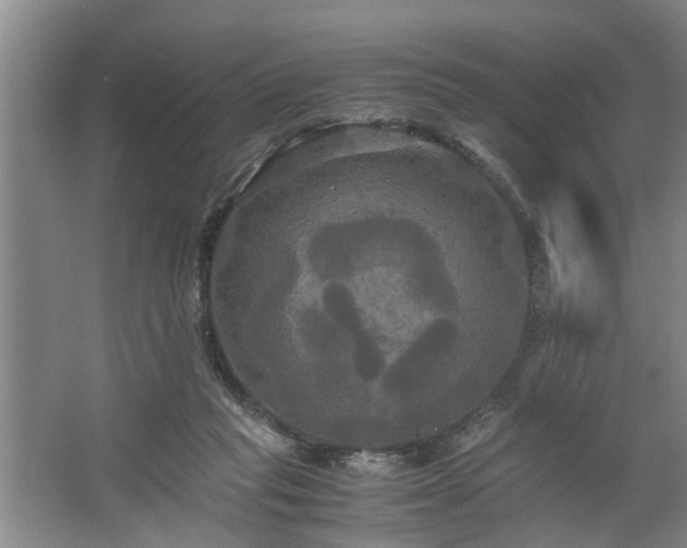 X0000062620261200512281537