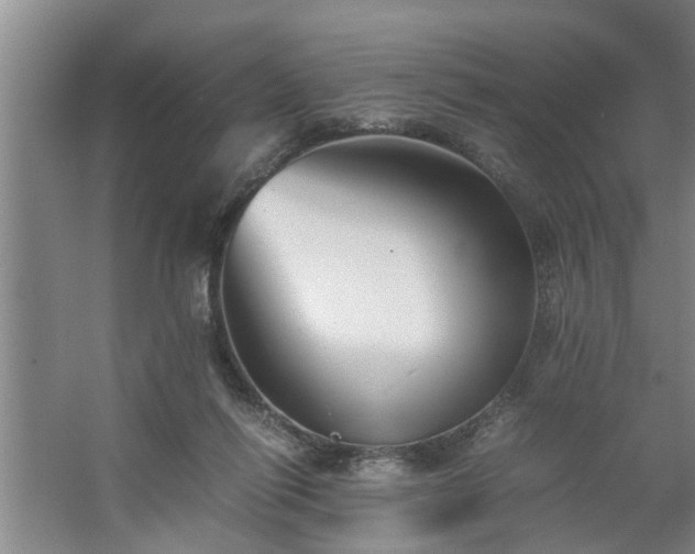 X0000062620262200512281537