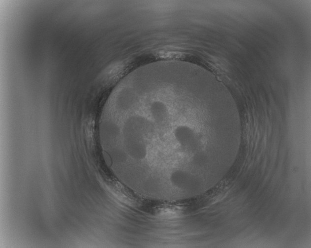 X0000062620263200512281537