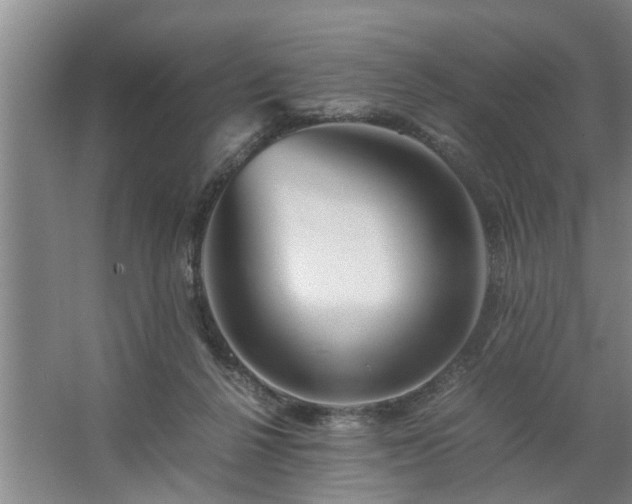 X0000062620264200512281537