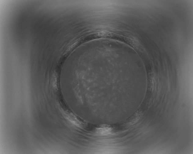 X0000062620266200512281537