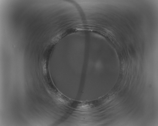 X0000062620267200512281537