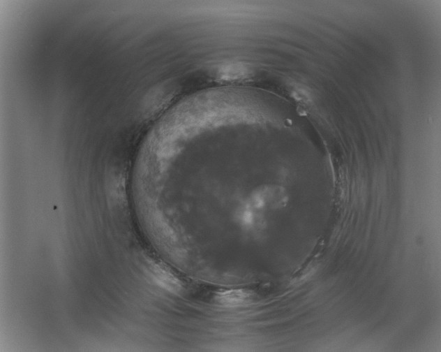 X0000062620269200512281537